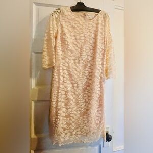 Garnet Hill blush pink lace dress, size 8. Excellent used condition.